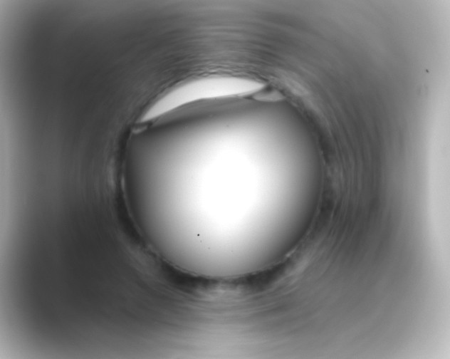 X0000088710546200706212004