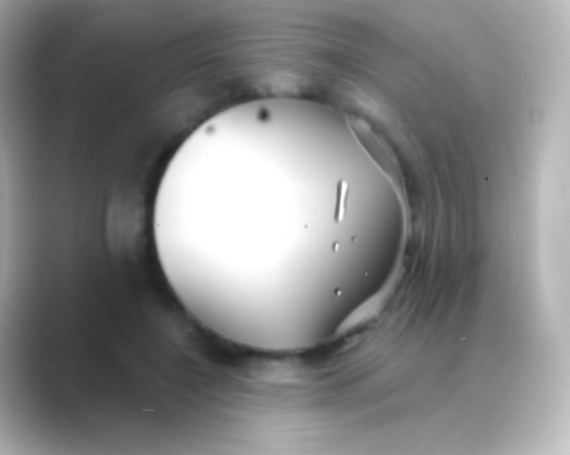 X0000088710548200706212004