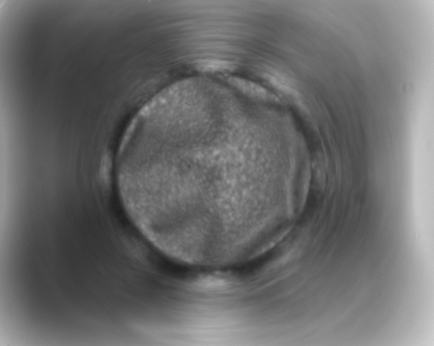 X0000088710550200706212004