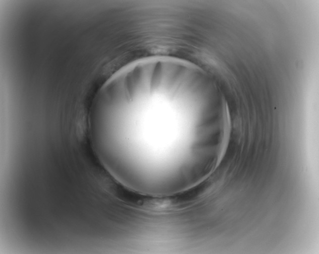 X0000088710554200706212004