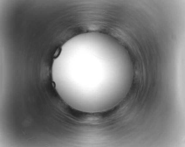 X0000088710555200706212004