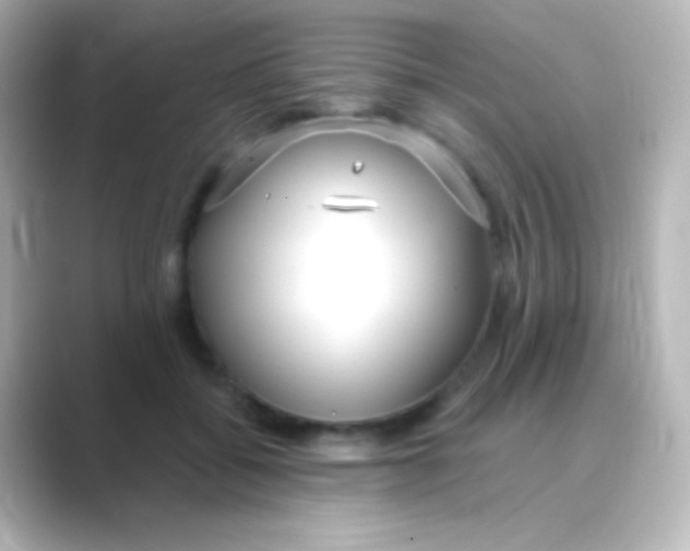 X0000088710556200706212004