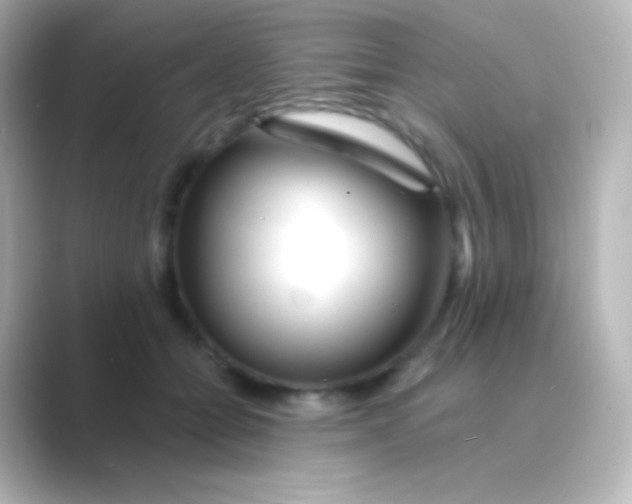 X0000088710558200706212004