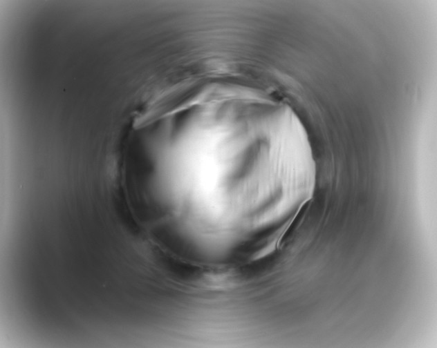 X0000088710560200706212004