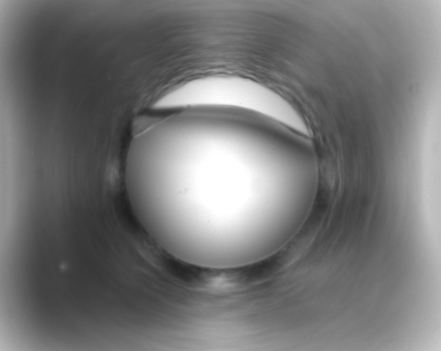 X0000088710564200706212004