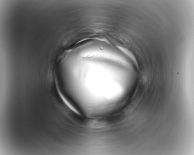 X0000088710568200706212005