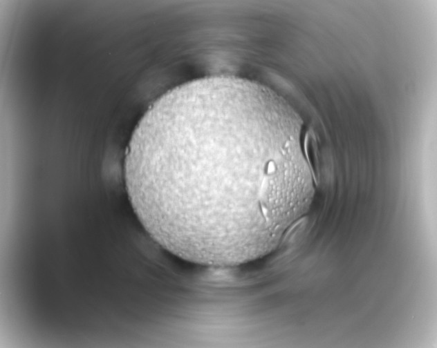 X0000088710573200706212005