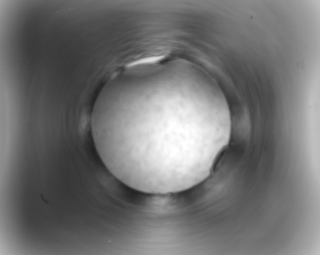 X0000088710574200706212005