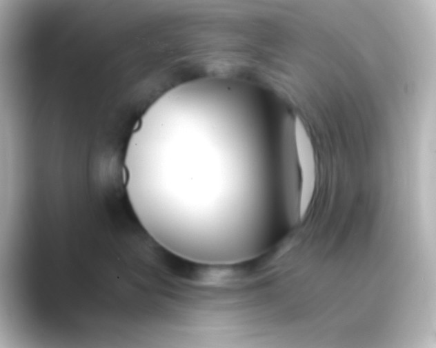 X0000088710575200706212005