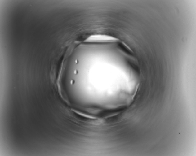 X0000088710576200706212005