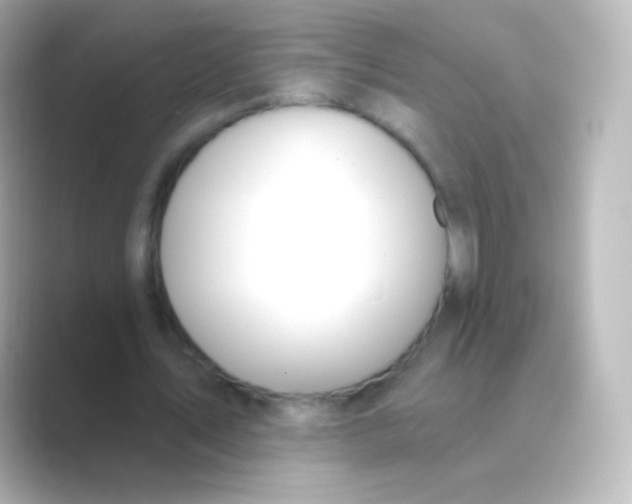 X0000088710579200706212004