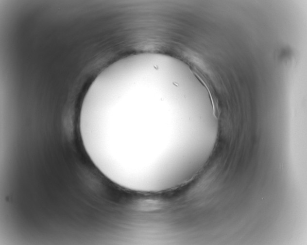 X0000088710586200706212004