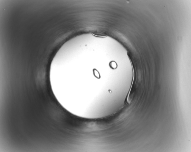 X0000088710588200706212004