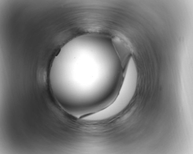 X0000088710589200706212004