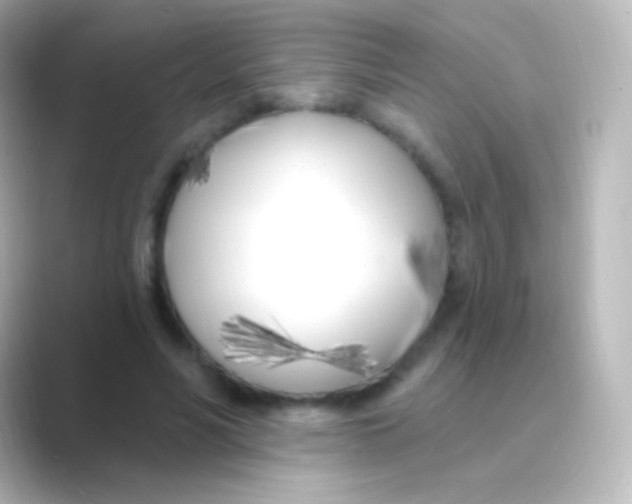 X0000088710590200706212004