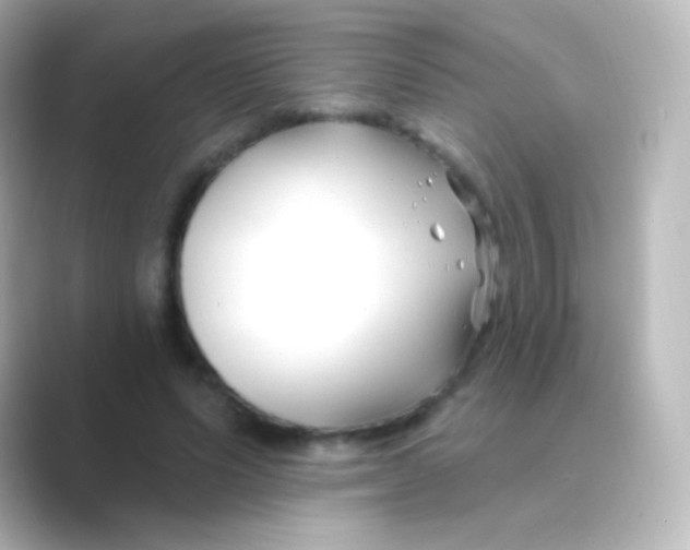 X0000088710591200706212004