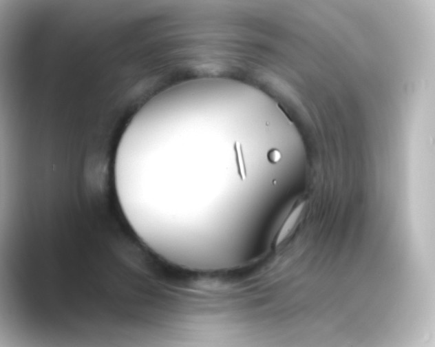 X0000088710596200706212004