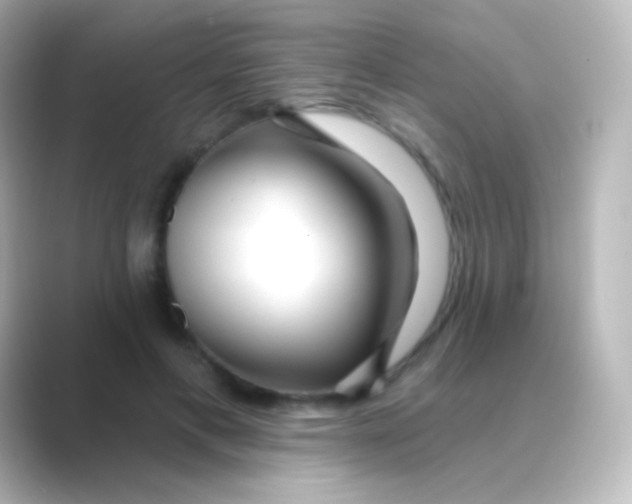 X0000088710597200706212004