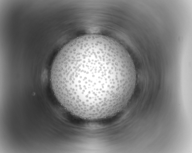 X0000088710598200706212004