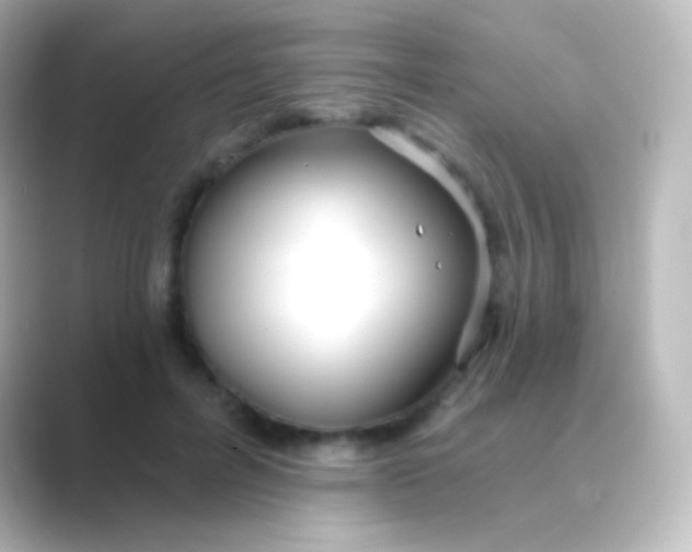 X0000088710600200706212004