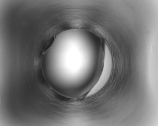 X0000088710601200706212004