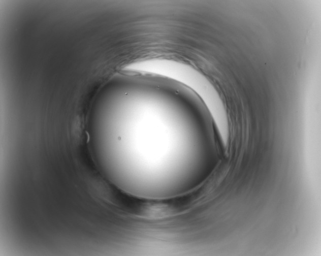 X0000088710605200706212004