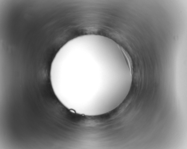 X0000088710608200706212004