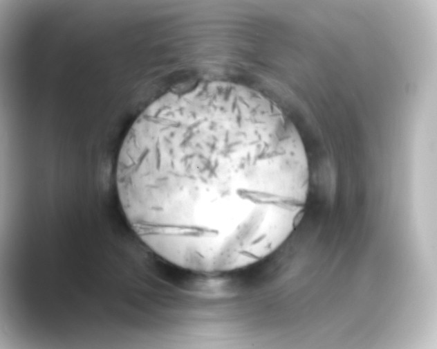 X0000088710610200706212004