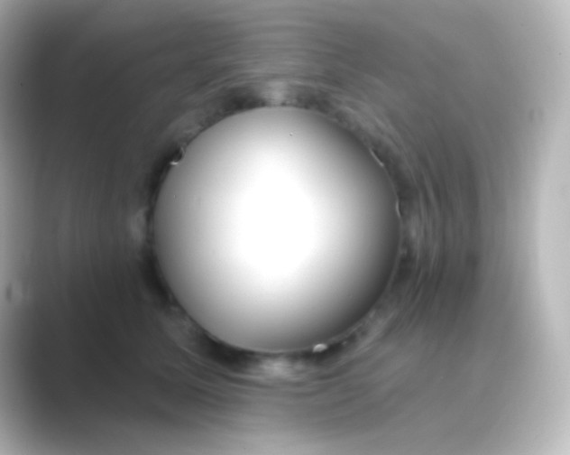 X0000088710611200706212004