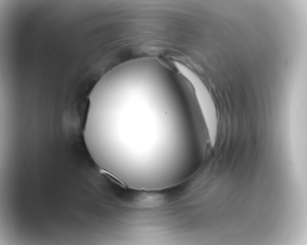 X0000088710617200706212004