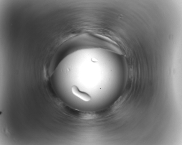 X0000088710621200706212004