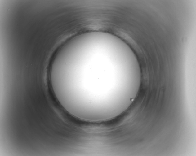 X0000088710626200706212003