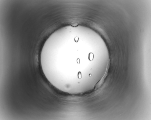 X0000088710633200706212003