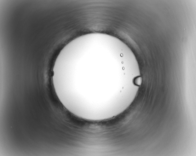 X0000088710635200706212003