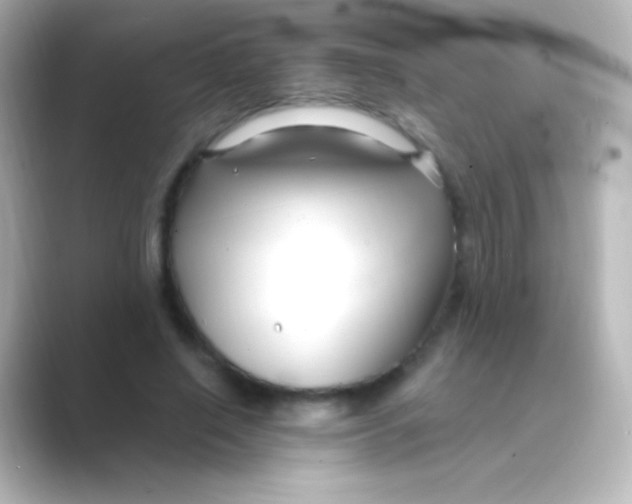 X0000088710638200706212003