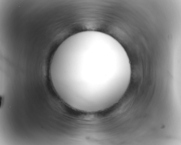 X0000088710639200706212003