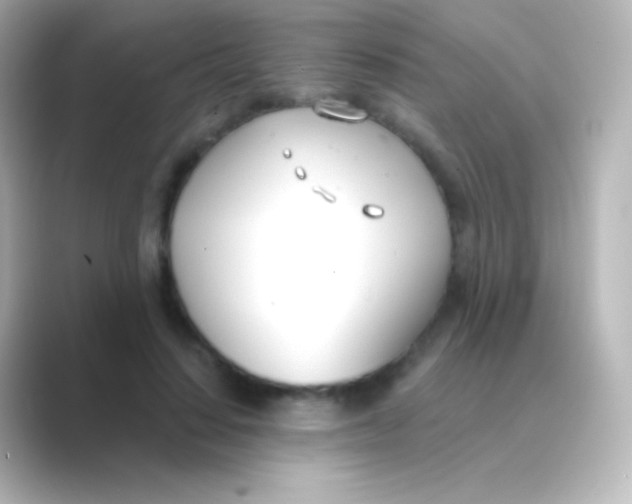 X0000088710644200706212003