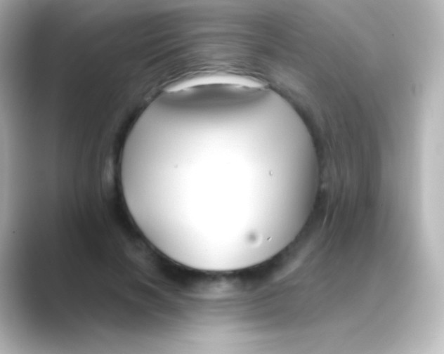 X0000088710646200706212003