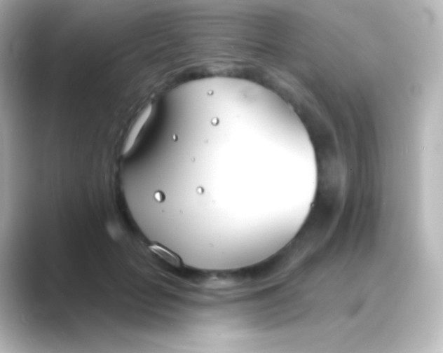 X0000088710653200706212003