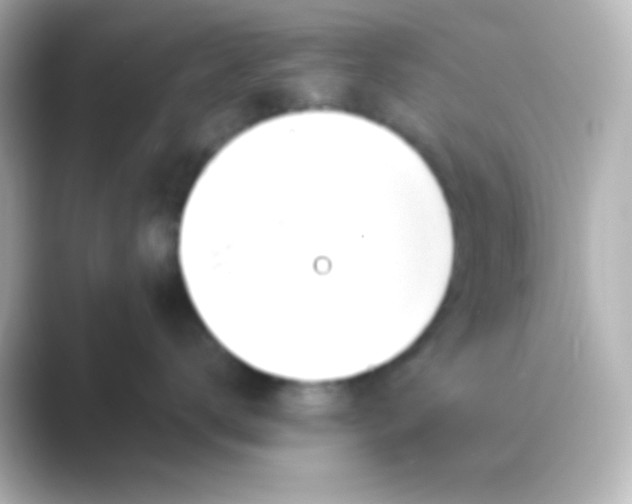 X0000088710672200706212003