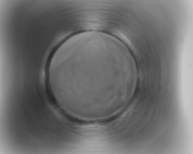 X0000088710674200706212003