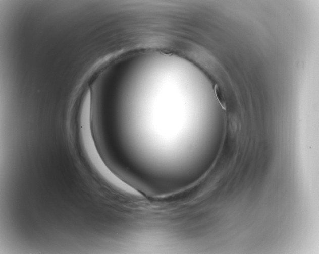 X0000088710676200706212003