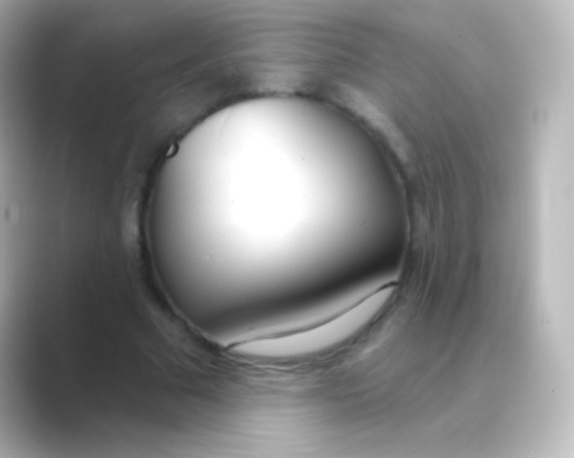 X0000088710681200706212003