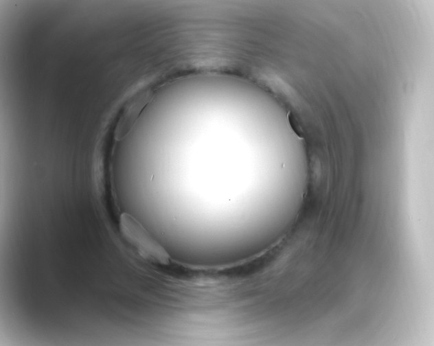 X0000088710684200706212003