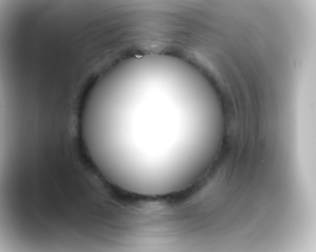 X0000088710689200706212003