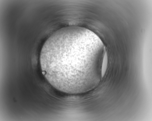 X0000088710691200706212003