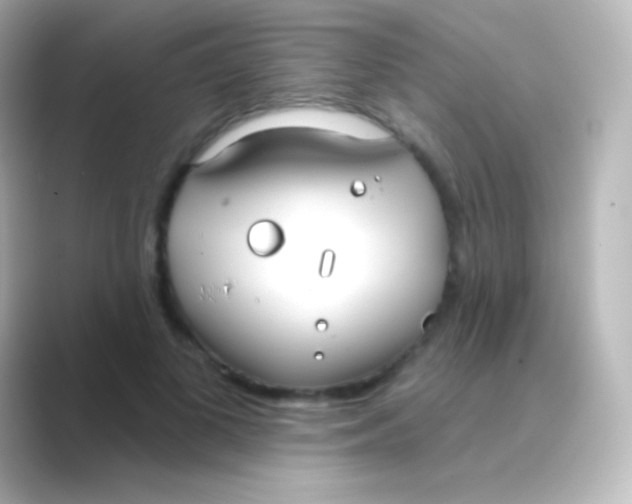 X0000088710693200706212003