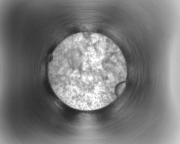 X0000088710699200706212003