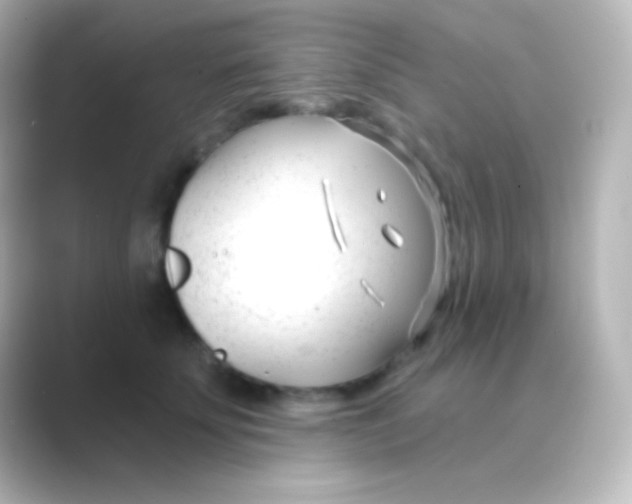 X0000088710707200706212003