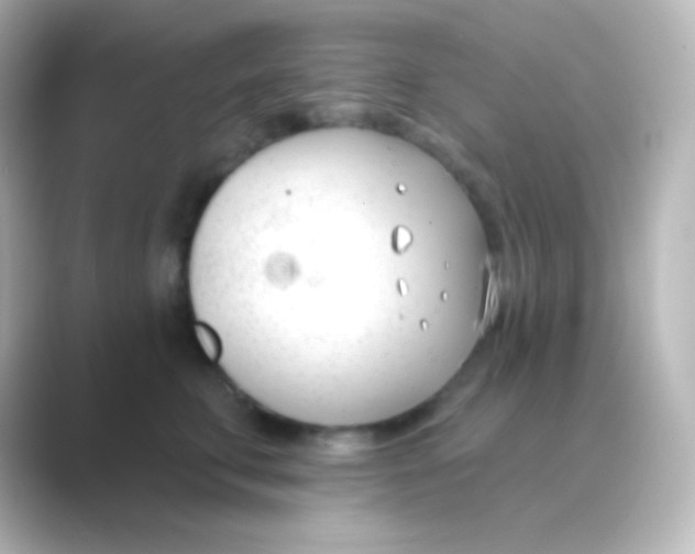 X0000088710711200706212002